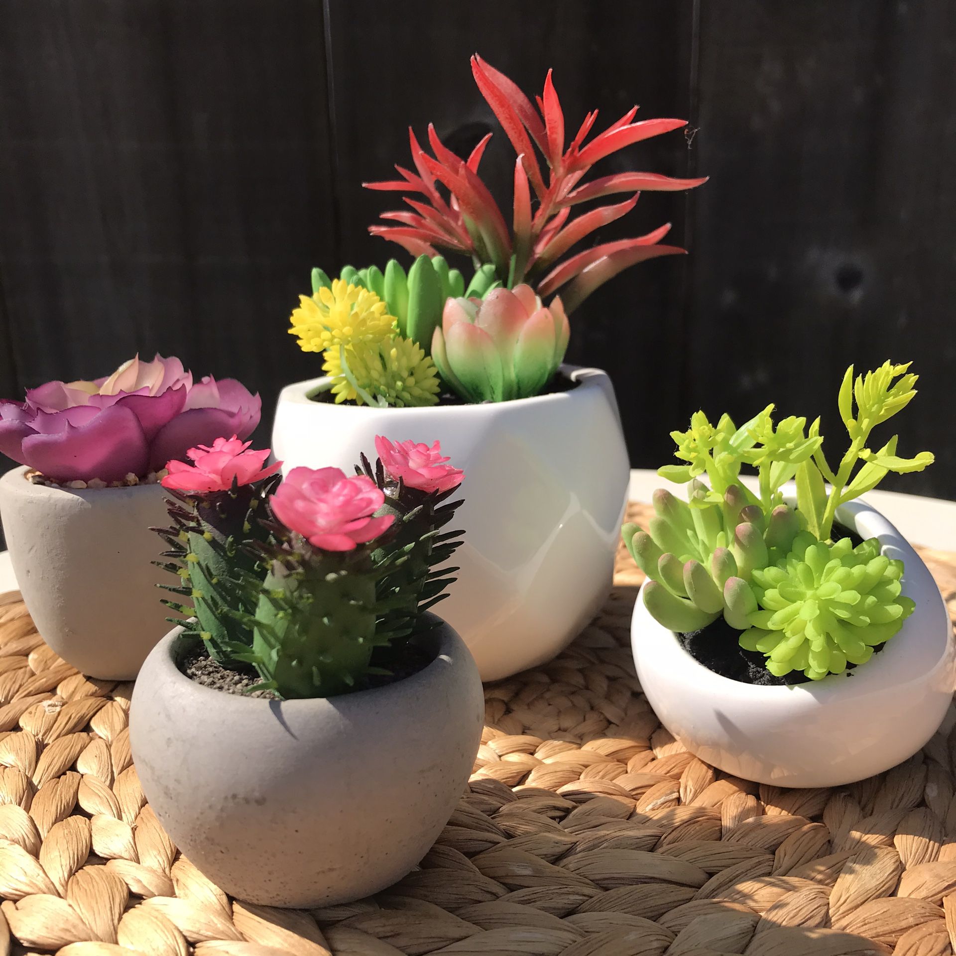 Set of 4 Artificial Succulents in Ceramic Pots Home Decor