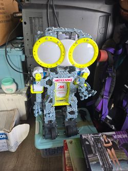 Robot