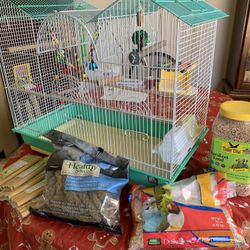 Bird Cage 