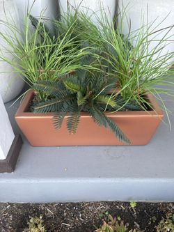 Artificial/Silk Plants In Pots For Sale