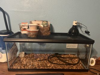 Reptile Tank