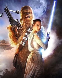 STAR WARS-REY & CHEWBACCA PICTURE
