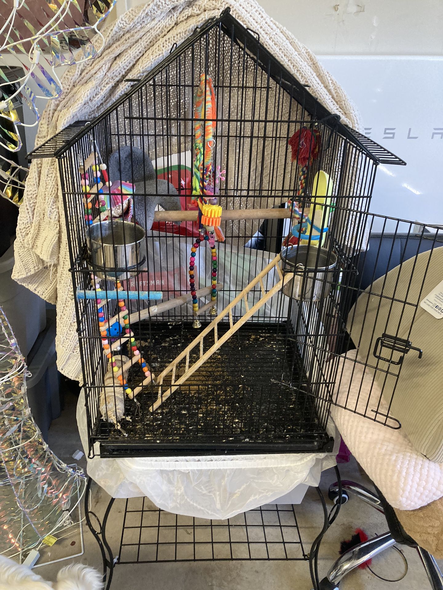 Bird Cage Large 