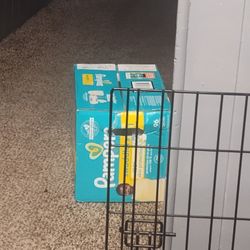 Size 1 Pampers  Diapers 