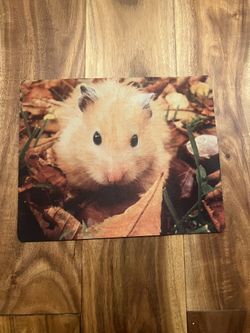 Hamster mousepad