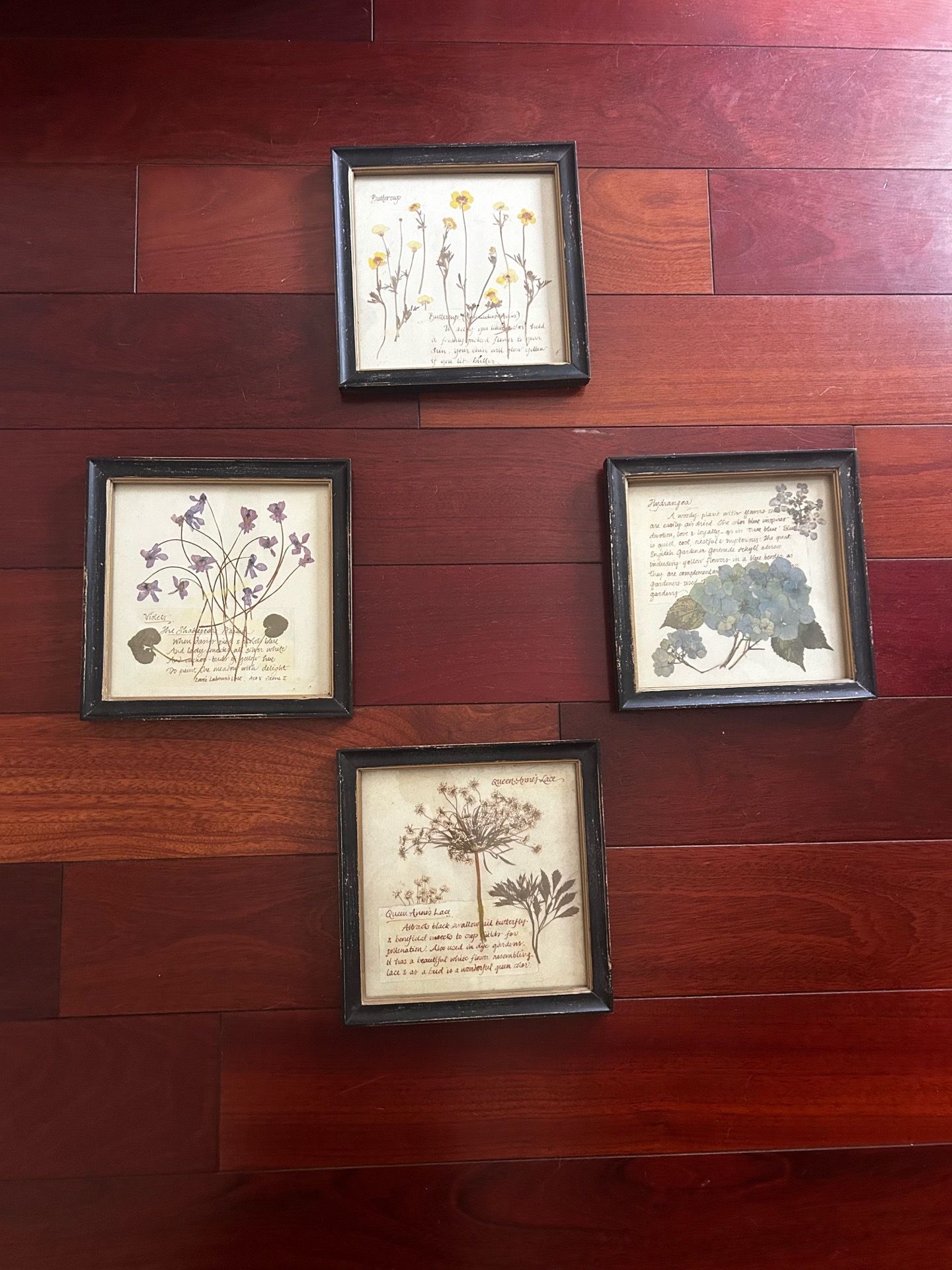 Framed Floral Prints