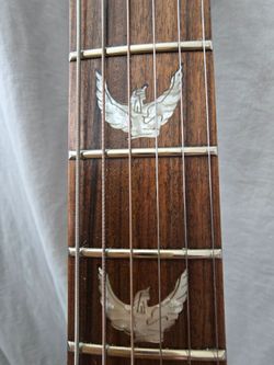 Dillion Electric Guitar