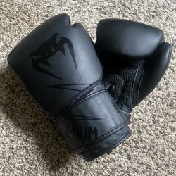Venum Classic Boxing Gloves - 14oz
