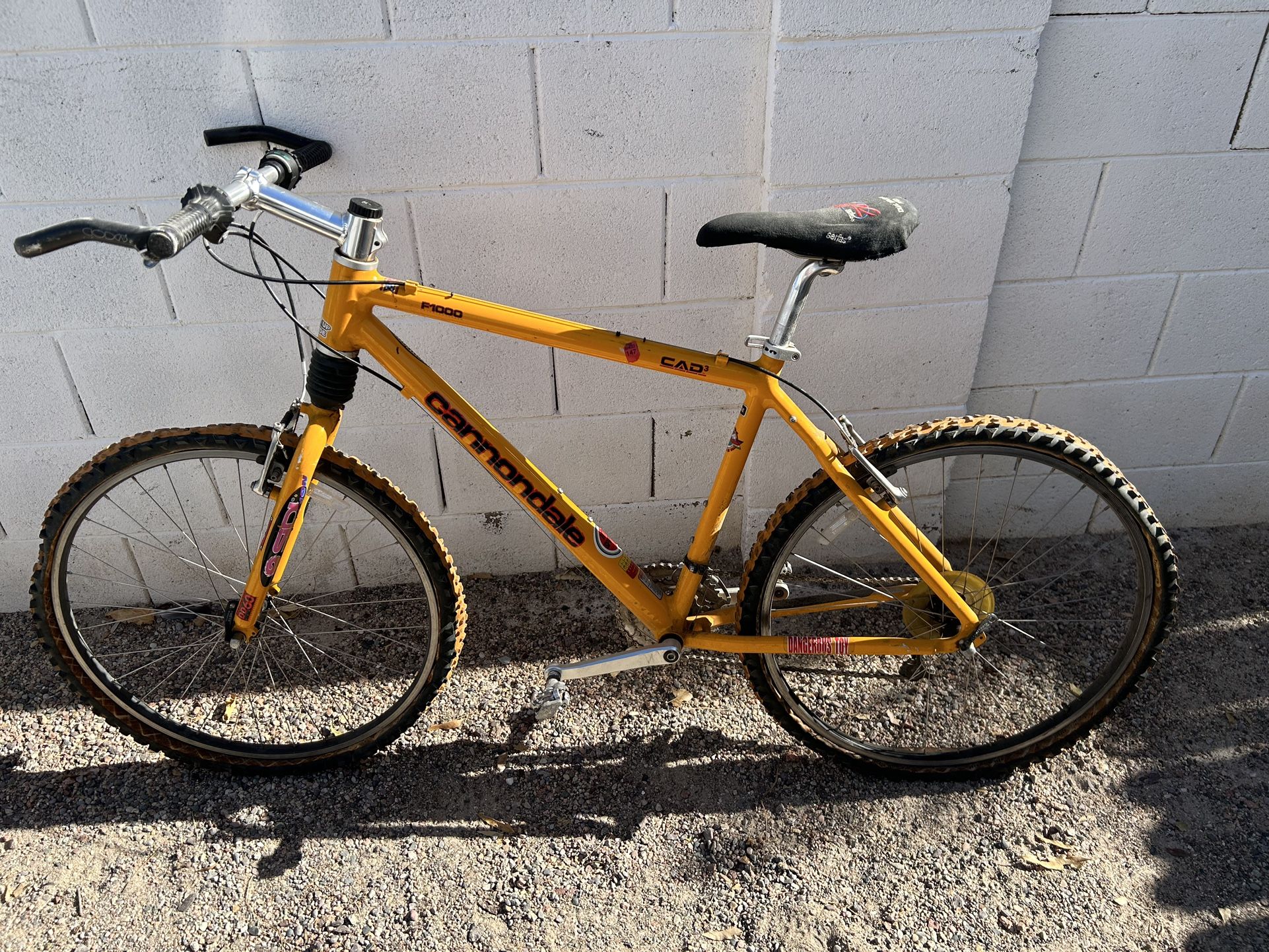 Cannondale Mountain Bike