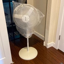 Fan