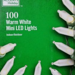 100 Mini Warm Lights LED