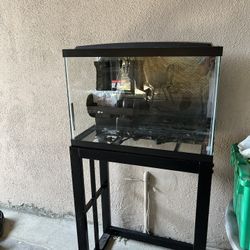20 Gallon Tank Comes With Heater New Filter And Stand 