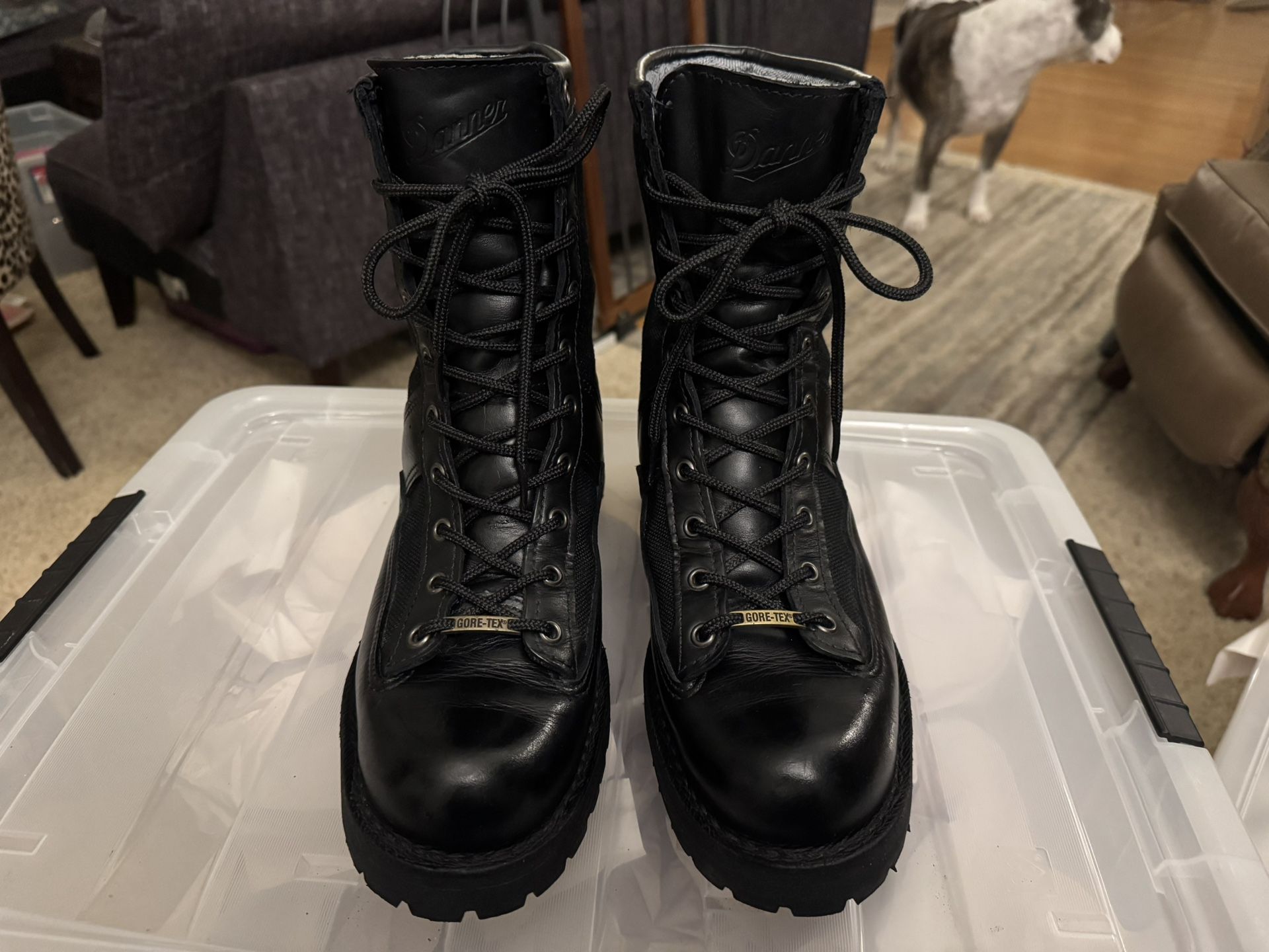 Danner Acadia Waterproof Men’s Boots - Size 10D