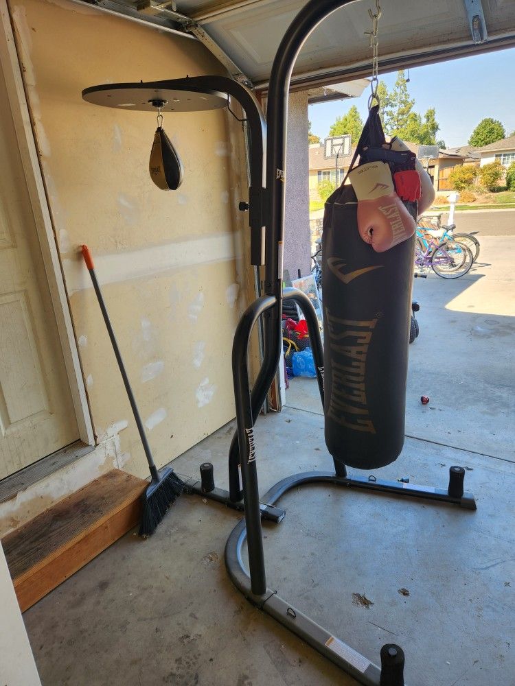 Punching and Speed Bag