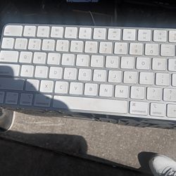 Apple Magic Keyboard And Mouse Model A1243