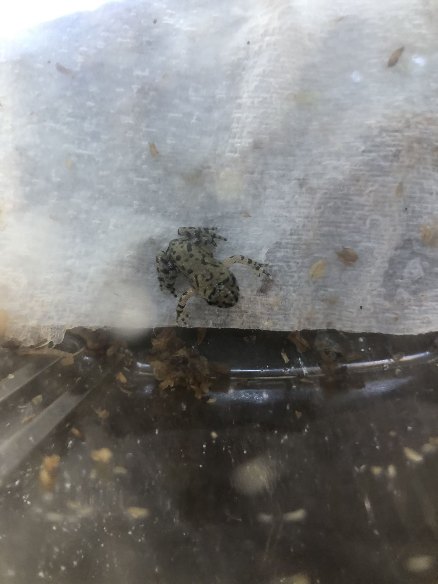 Reptile And Fish Supplies