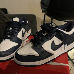 Nike Dunks Navy Blue 