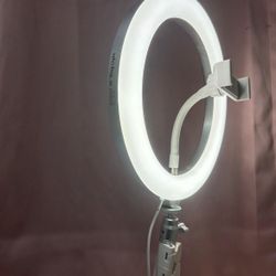 LED Ring Light 