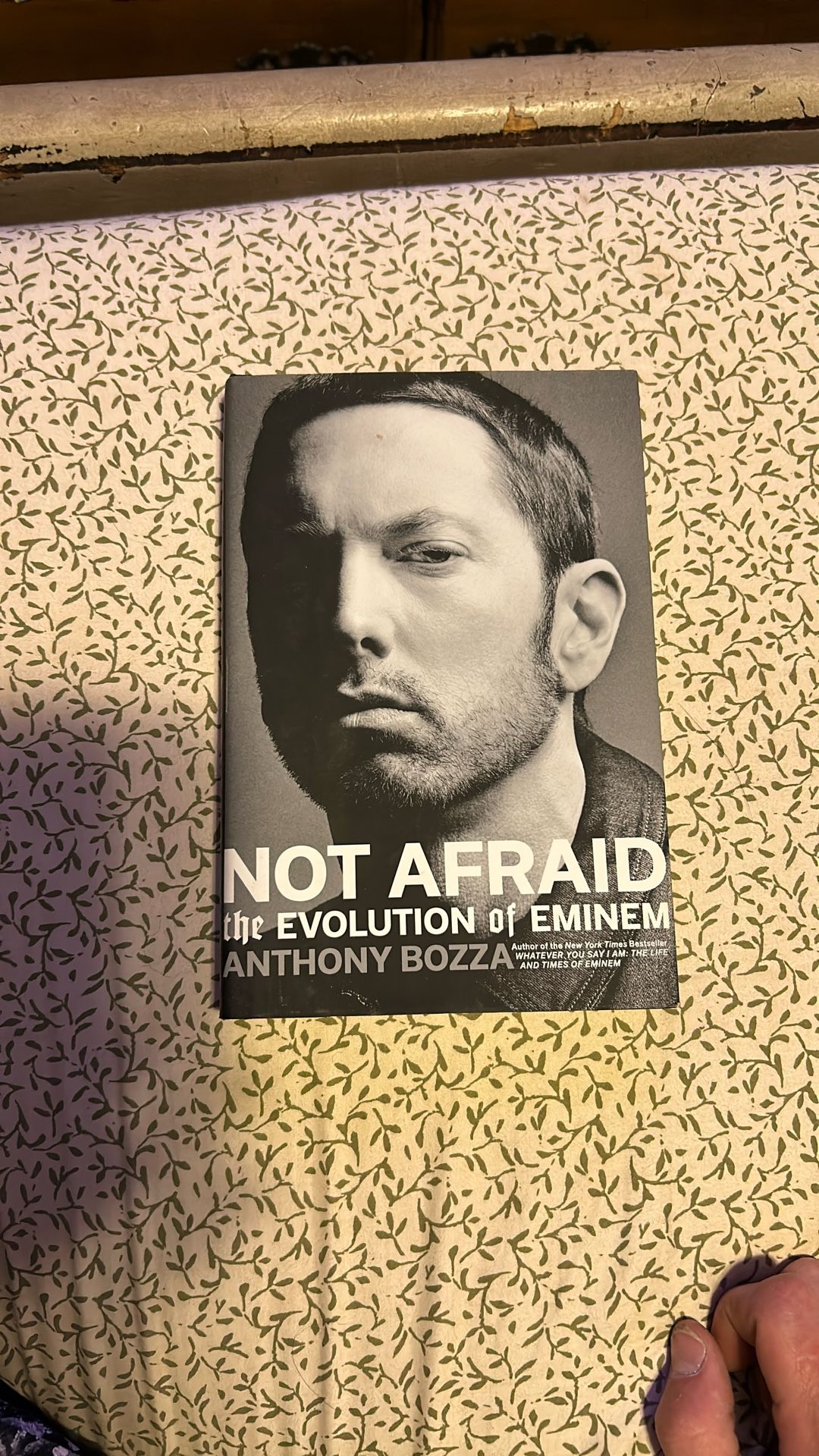 Eminem Book
