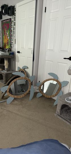 Turtle mirrors