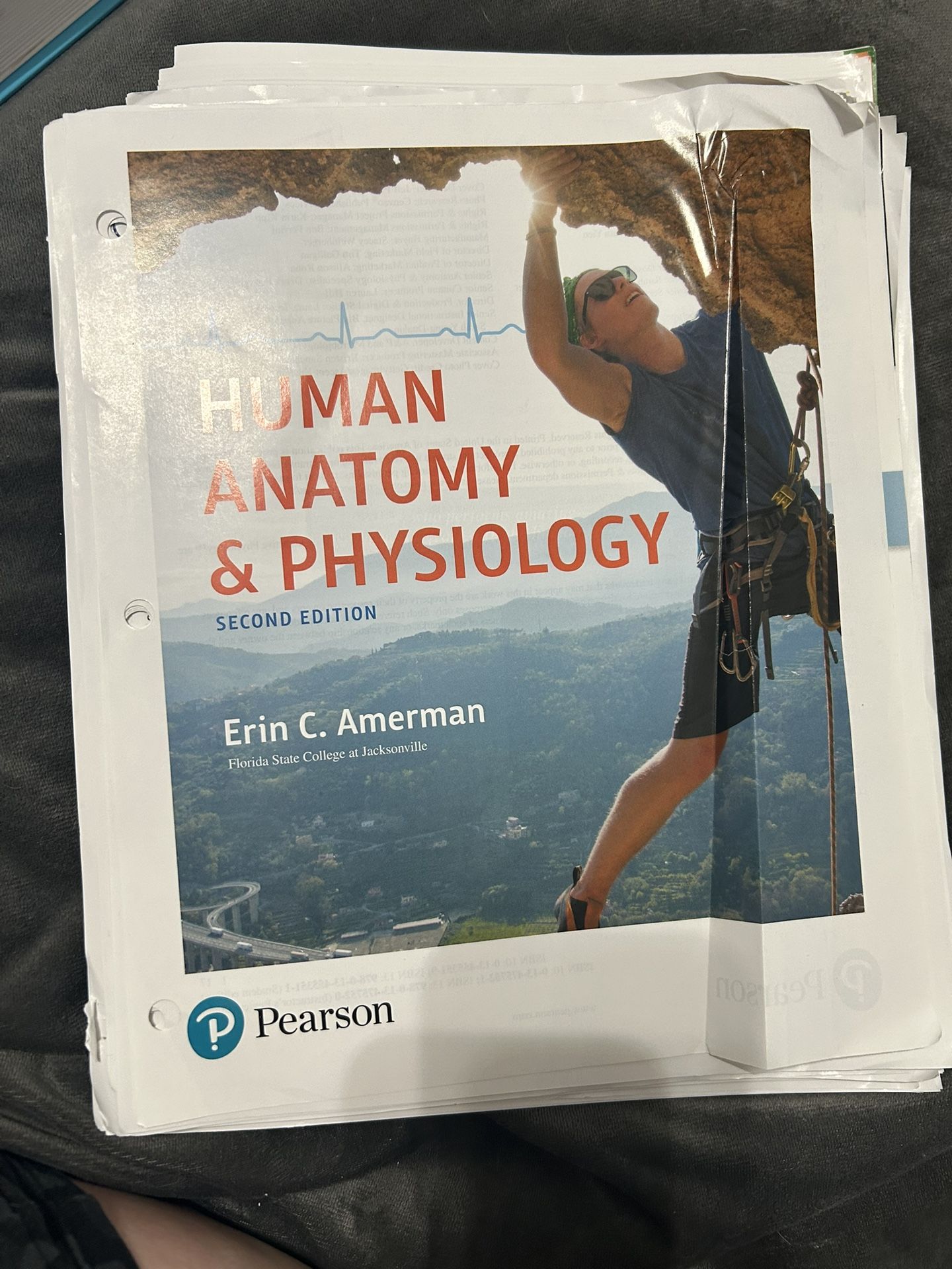 human anatomy and physiology
