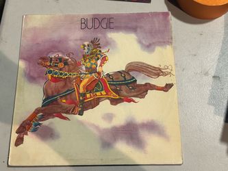 Budgie Budgie 12" LP Vinyl Stereo 33 RPM Rock MCA Records 1971