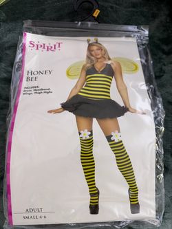 Adult Bee costume