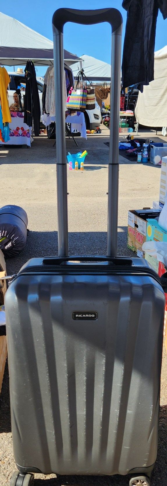 Ricardo Luggage Set 39 Small 49 Large 79 Set. Sells At Costco For 189