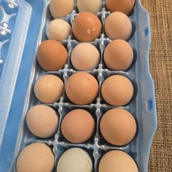Fresh Farm Eggs 