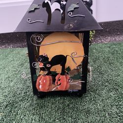 Black Cat Lantern with Pumpkins