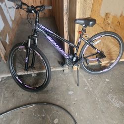 Schwinn Bike