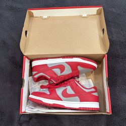 (OPEN TO OFFERS) Brand new Nike Dunk Low Retro