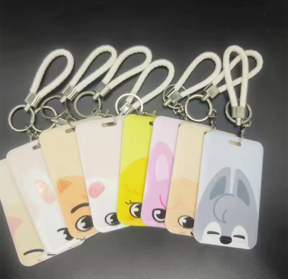 Straykids Skzoo photocard Holder