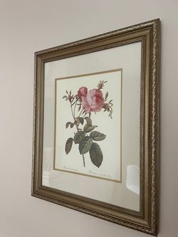 Vintage Framed Botanical Art Prints White & Pink Rose - $250
