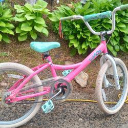 Kids 20 Inch Bike 