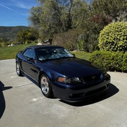 2001 Ford Mustang SVT Convertible Cobra 