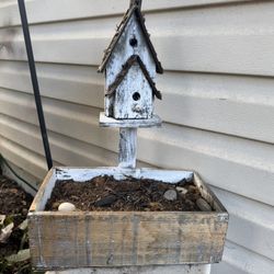 Bird House 
