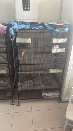 Bird cages