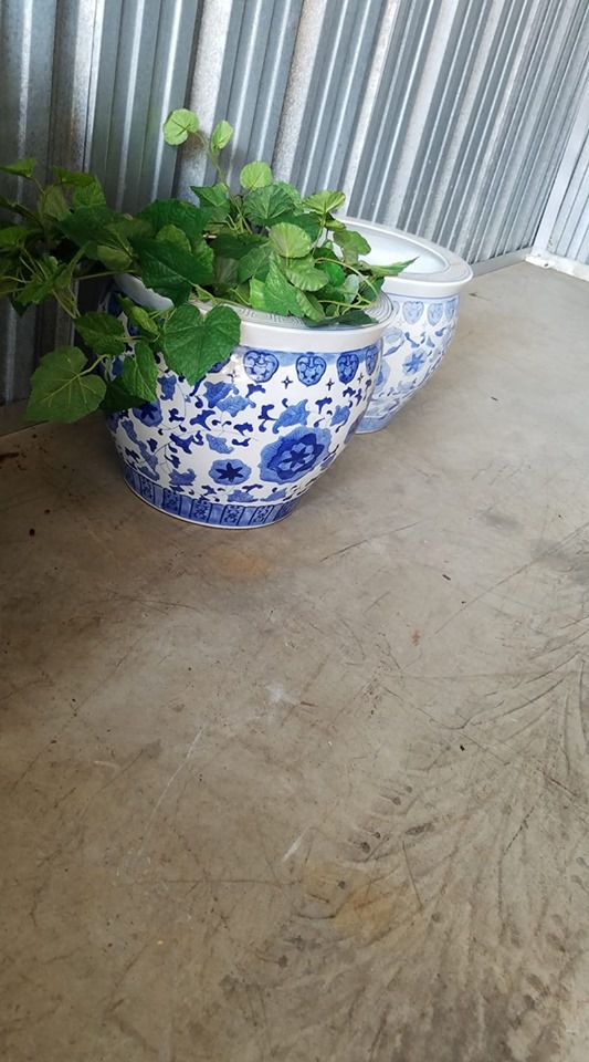 Fish Bowl Flower Planter Pot #1