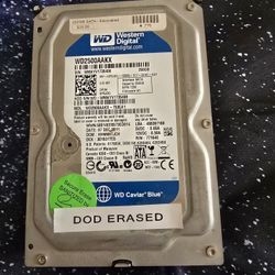 WD 250 GB Hard Drive 