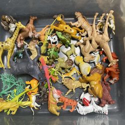 Animal Toys 