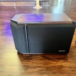 BOSE Series IV Speakers