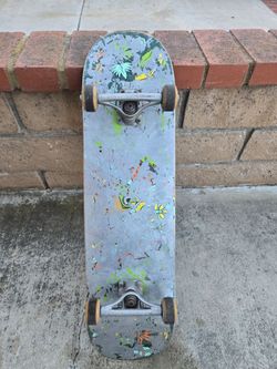 Skateboard