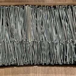 Galvanized  Spikes