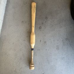 Baseball Training Bat 