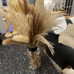 Vase & pampas Grass