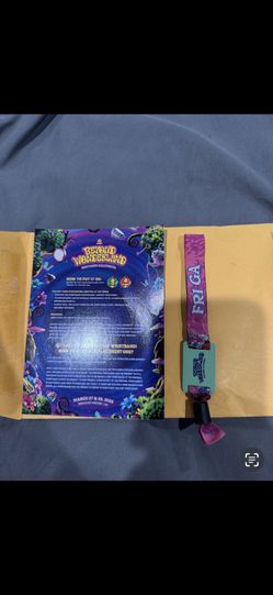 Beyond Wonderland Friday GA Ticket