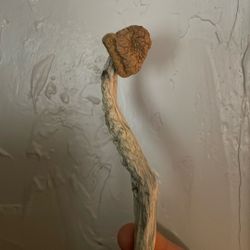 Mushroom Art psychadellic