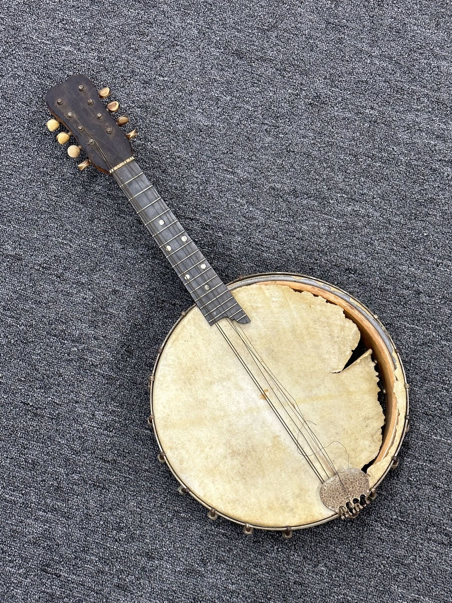 Antique 1920's Wurlitzer ~ 8 String Banjolin Banjo Mandolin ~ Needs Repair