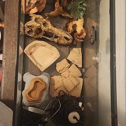 Lizard Tank And Accessories 